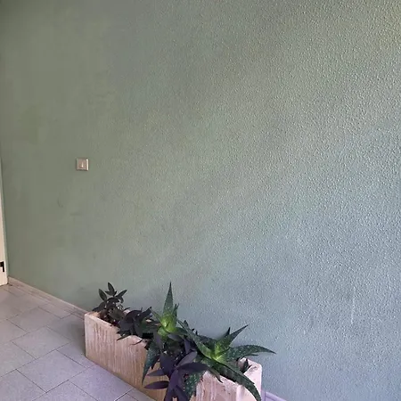 Baia House 76 Holiday home